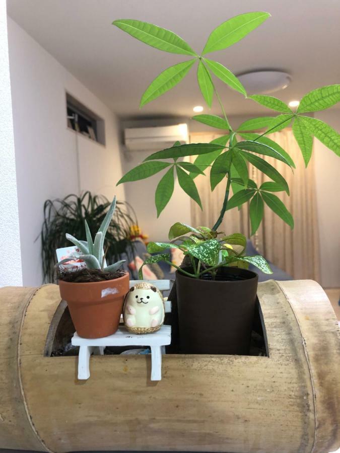 הוילה טוקיו Takara House מראה חיצוני תמונה